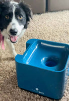 iDogmate 自動ボールランチャー 2.5 インチのボールを口で運ぶことができるほとんどのサイズの犬用 - テニスボールランチャー - ボール投げ機 - ペットの犬のおもちゃ