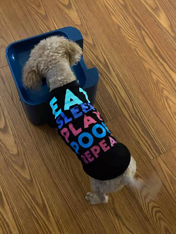 iDogmate 自動ボールランチャー 2.5 インチのボールを口で運ぶことができるほとんどのサイズの犬用 - テニスボールランチャー - ボール投げ機 - ペットの犬のおもちゃ