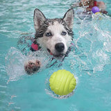 iDogmate 2.5 インチ耐久性と洗濯可能なペット ボール (2 個)